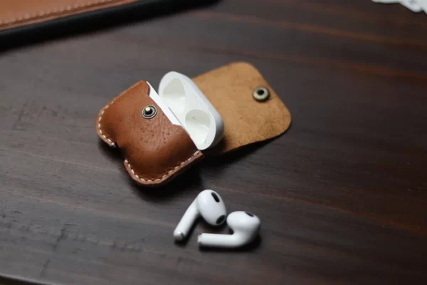 Carrot Airpods Case